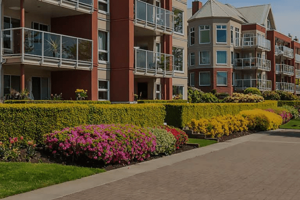 commercial landscaping in Denver