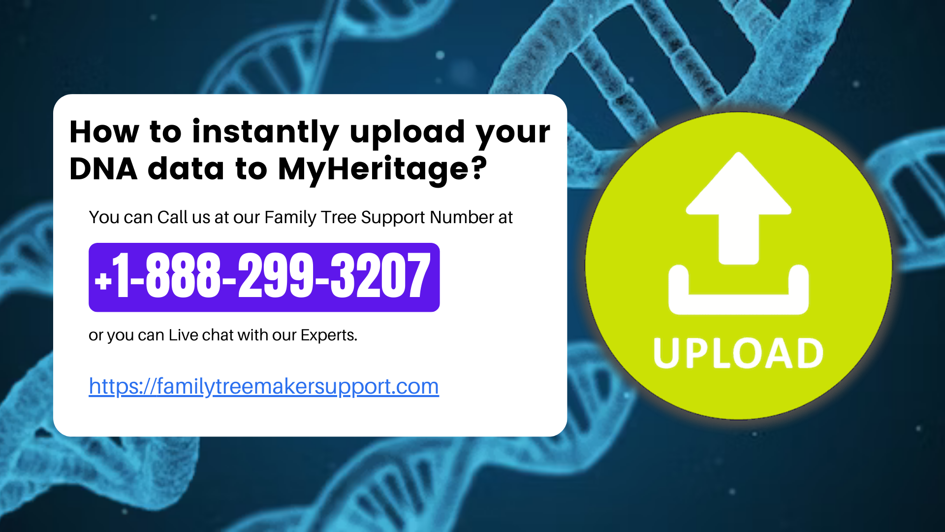 How to instantly upload your DNA data to MyHeritage