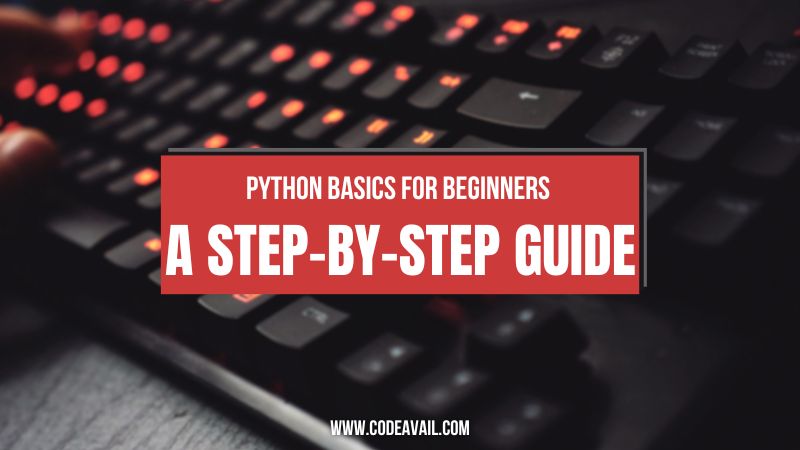 Python Basics for Beginners: A Step-by-Step Guide