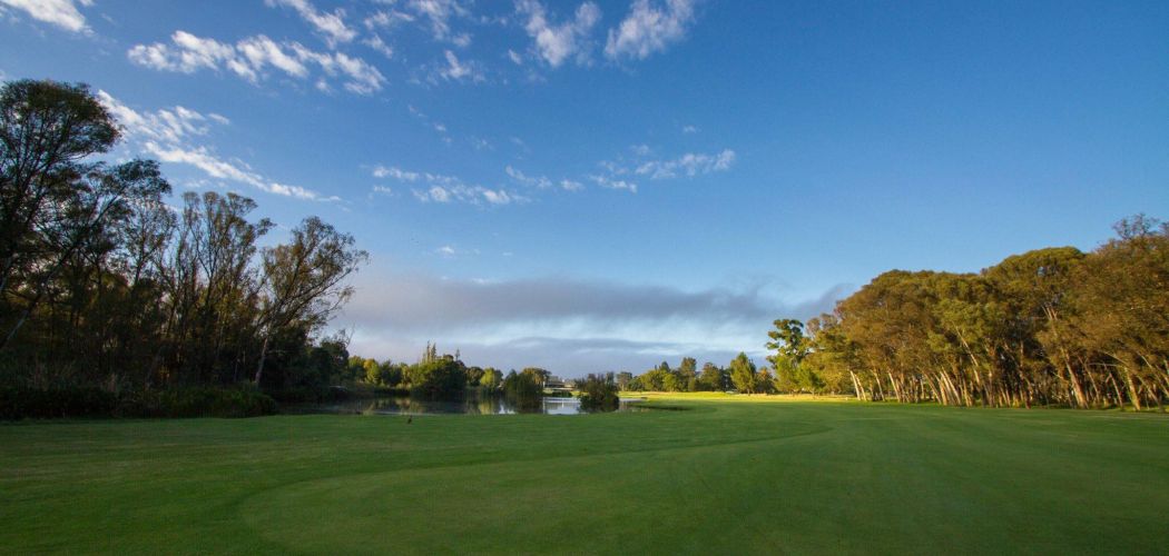 All You Need to Know About the Best Golf Clubs in South Africa