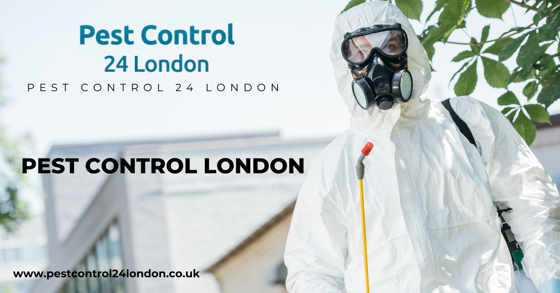 Pest Control London: Restaurant Pest Control Guide