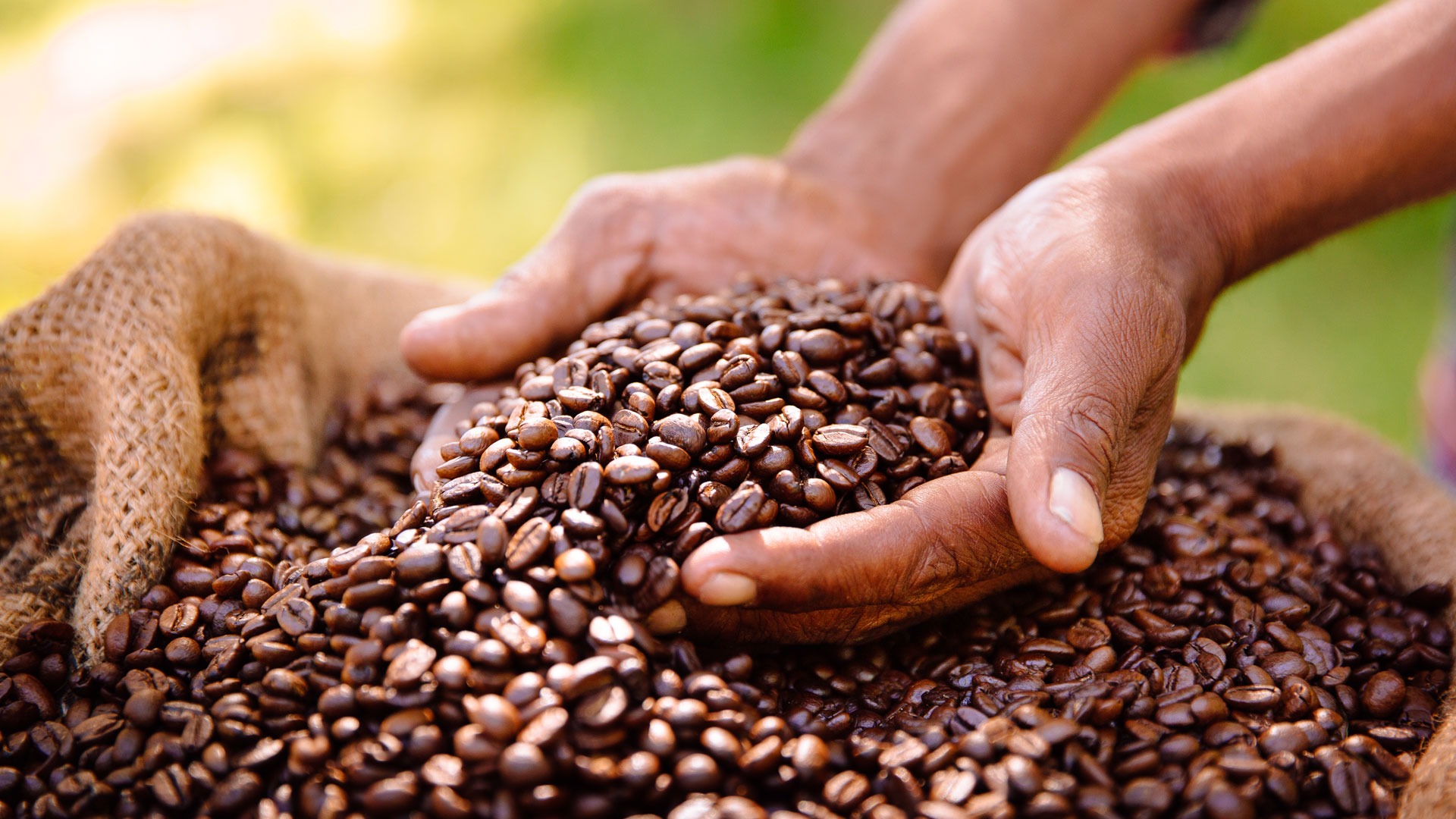 Taste the Tradition: Kona Gold Coffee Plantation’s Time-Honored Legacy